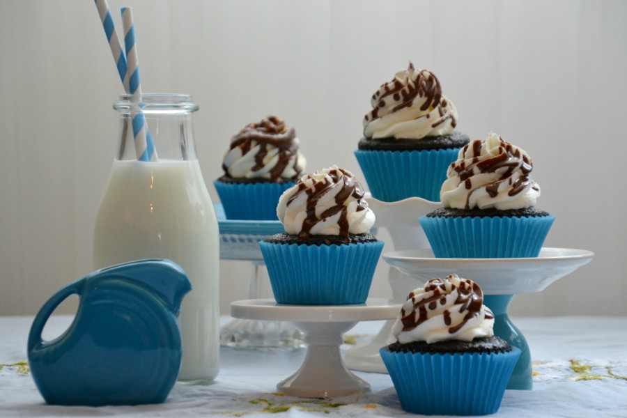 choc cupcake variety 055 tss