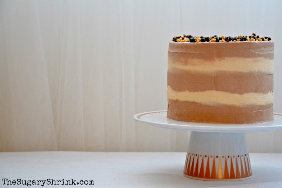 choc peanut butter 4 layer 618 tss