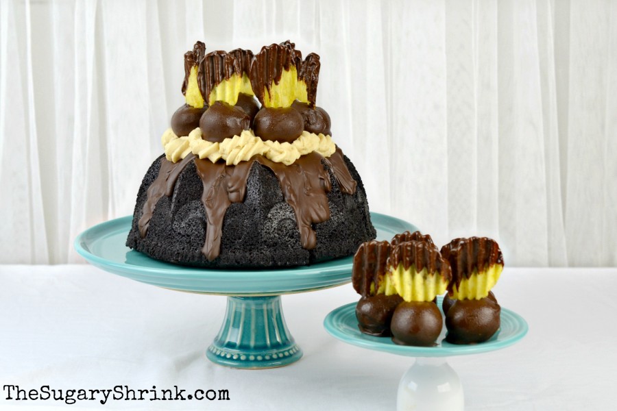 bundt crowned choc 300 tss